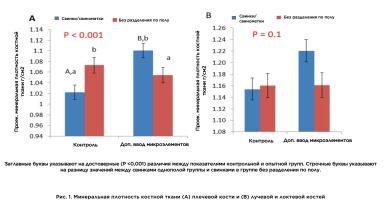 Кормление ремонтных свинок как ключ к их долголетию и продуктивности