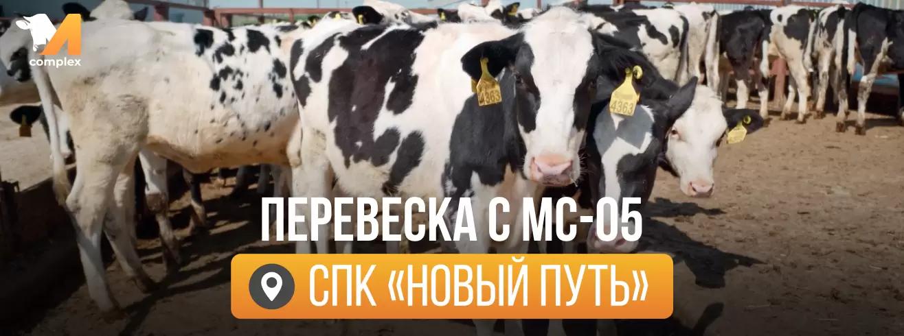 Перевеска: СПК «Новый Путь»
