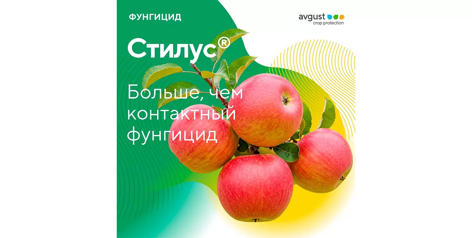 Стилус® – новый фунгицид для защиты яблони и груши от парши