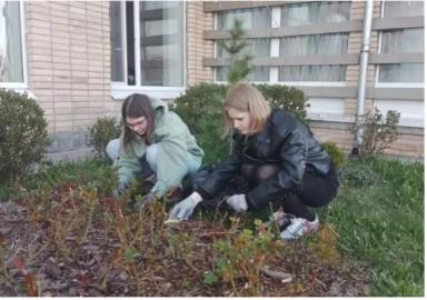 Студенты сельхозотрядов Петербурга на занятиях по зеленому хозяйству