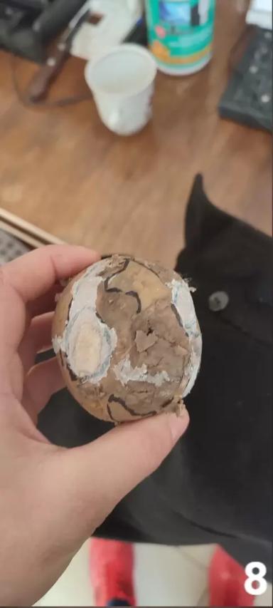 Стеблевая нематода и Луна® Транквилити