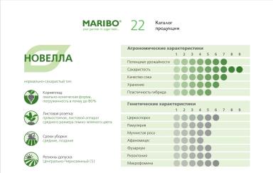 НОВЕЛЛА