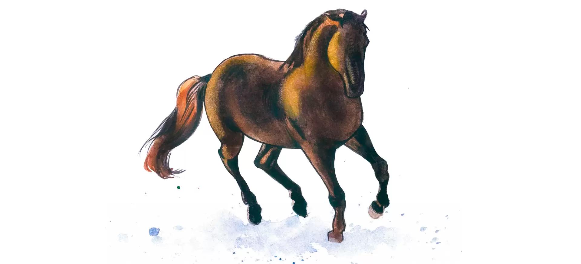 Кустанайская порода лошадей