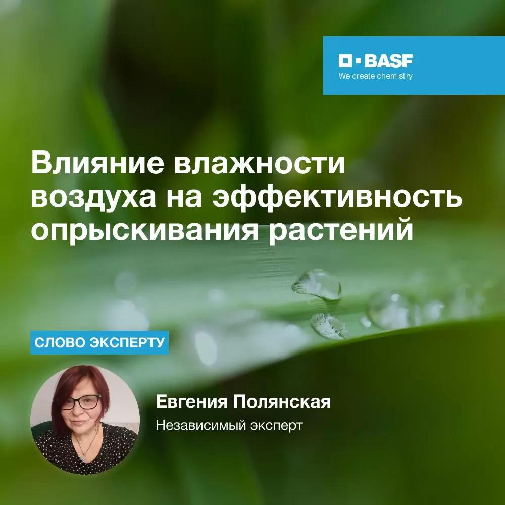 🌿 Влажность воздуха — главный союзник защиты растений!