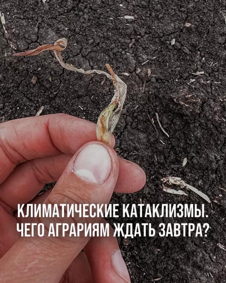 КЛИМАТИЧЕСКИЕ КАТАКЛИЗМЫ. ЧЕГО АГРАРИЯМ ЖДАТЬ ЗАВТРА?