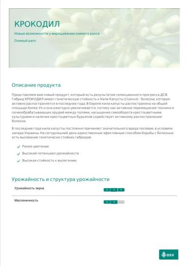 Крокодил - гибрид озимого рапса  (Brassica napus var. napus).