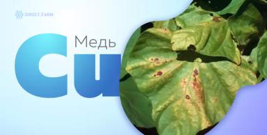 Медь в растениях и почве