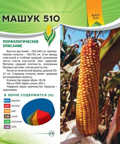 Машук 510