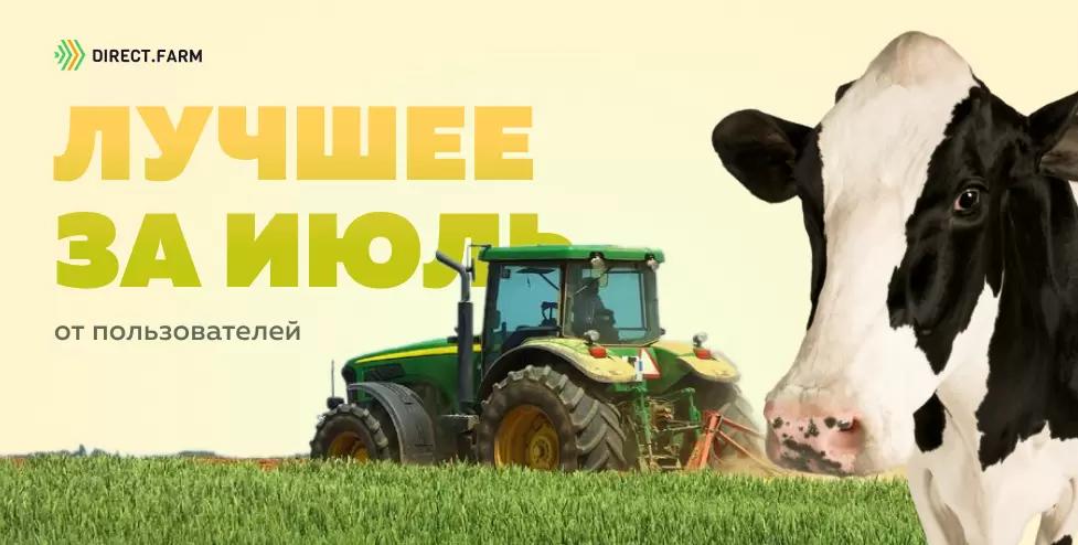 Топ-постов от пользователей DF за июль 2022