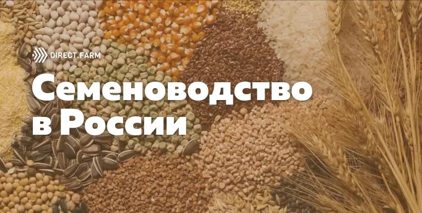 Семеноводство в России. Можно ли на этом заработать?