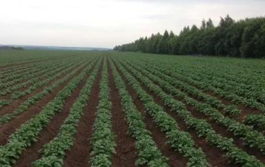 Здесь все, что нужно знать об RTK