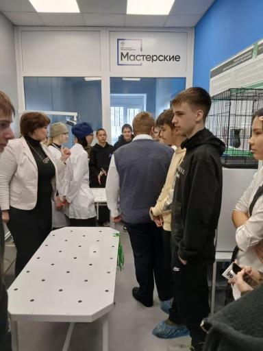 Профессиональные пробы для школьников