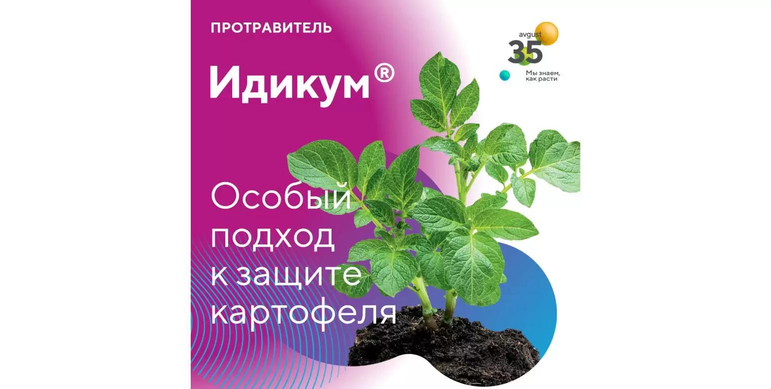 Идикум® на защите клубней и всходов