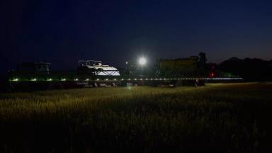 Волшебство ночного опрыскивания