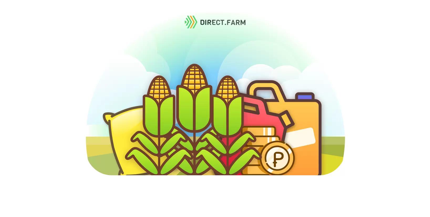 Как повысить рентабельность кукурузы до 100%?