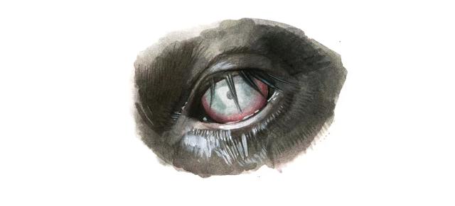 Инфекционный кератоконъюнктивит КРС