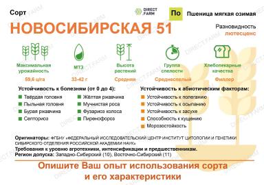 Новосибирская 51