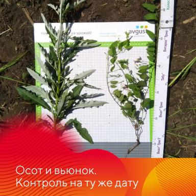 НордСтрим® – сила и надежность тройственного союза.
