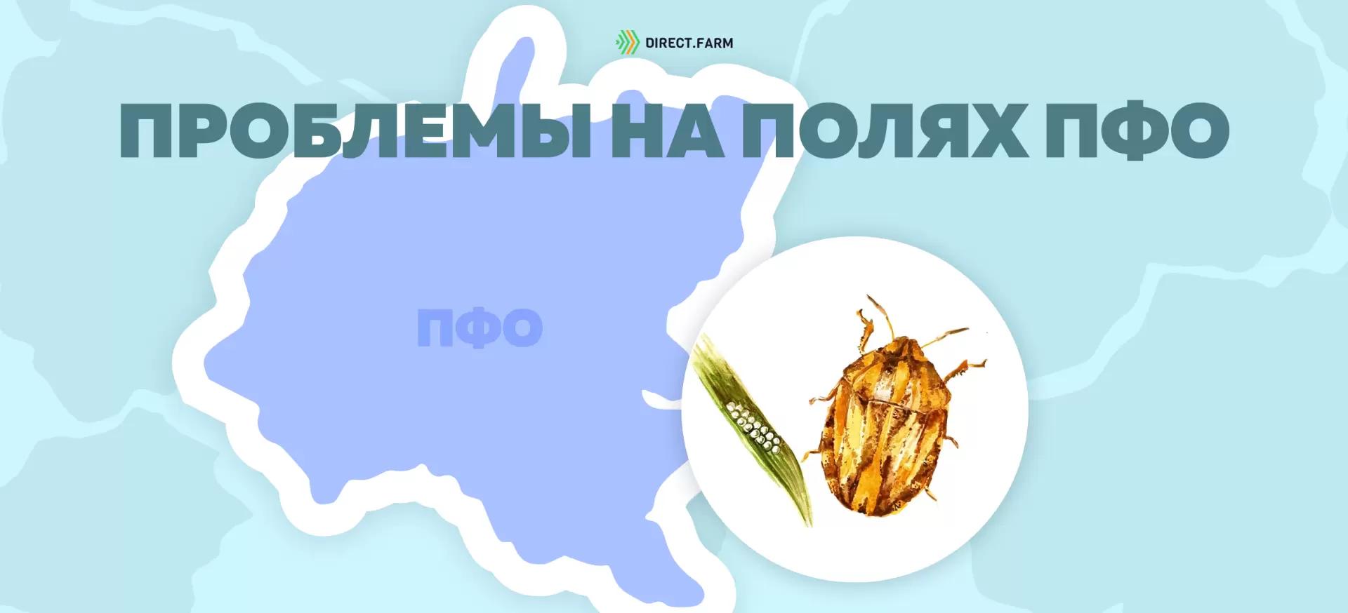 Угроза: Клоп вредная черепашка