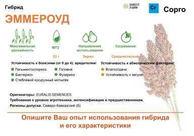 Эммероуд (EMERAUDE)