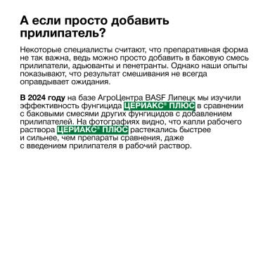 Фунгициды в условиях переувлажнения: важность препаративной формы