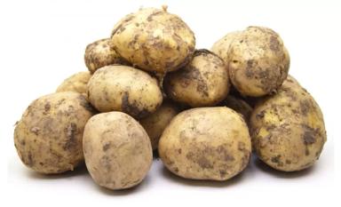 Ривьера (RIVIERA) картофель