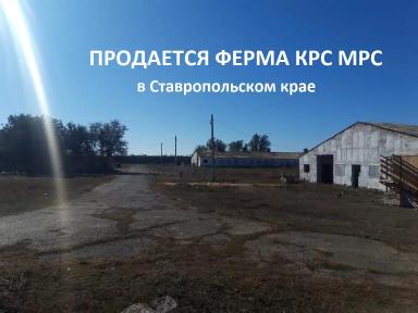 Продается ферма КРС