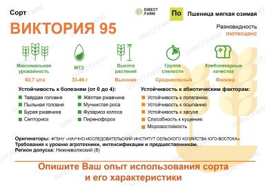 Виктория 95