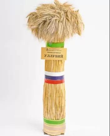 Уллубий сорт тритикале озимой