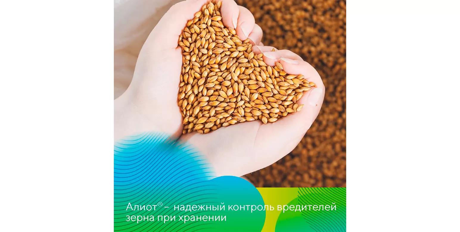 Уничтожить нахлебников!