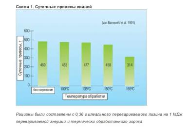 Кормление животных: доступность аминокислот