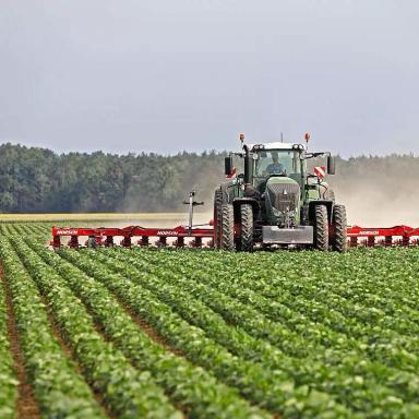 Как выбрать междурядный культиватор?