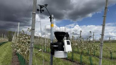 Управлением поливом в садах  и на полях, использующих оросительные системы