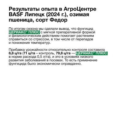 Что важно учитывать при применении фунгицидов?