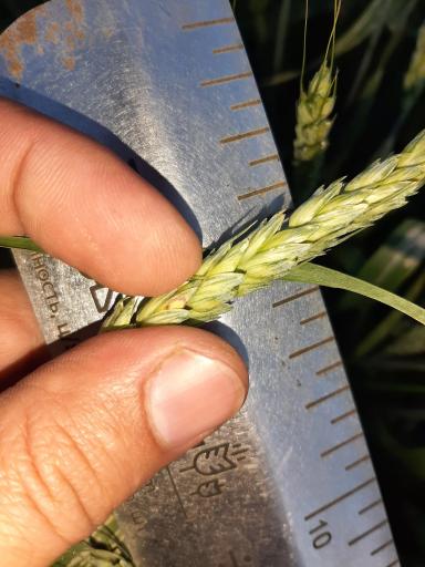 Агромониторинг 