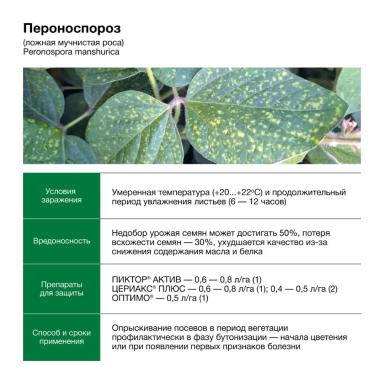 Соевый агрокалендарь Июль