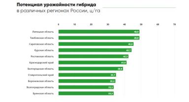 П 64 ХЕ 118 - гибрид подсолнечника Пионер