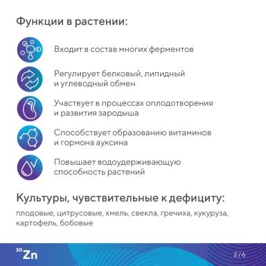 «Элементарно об элементах!» – цинк