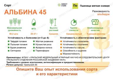 Альбина 45 сорт мягкой озимой пшеницы