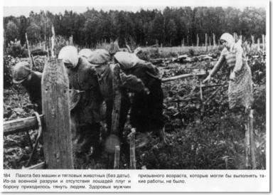 Как работали женщины в С/Х во время Великой Отечественной войны?