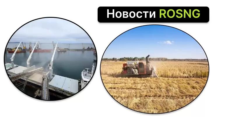 Дайджест новостей за 4 августа