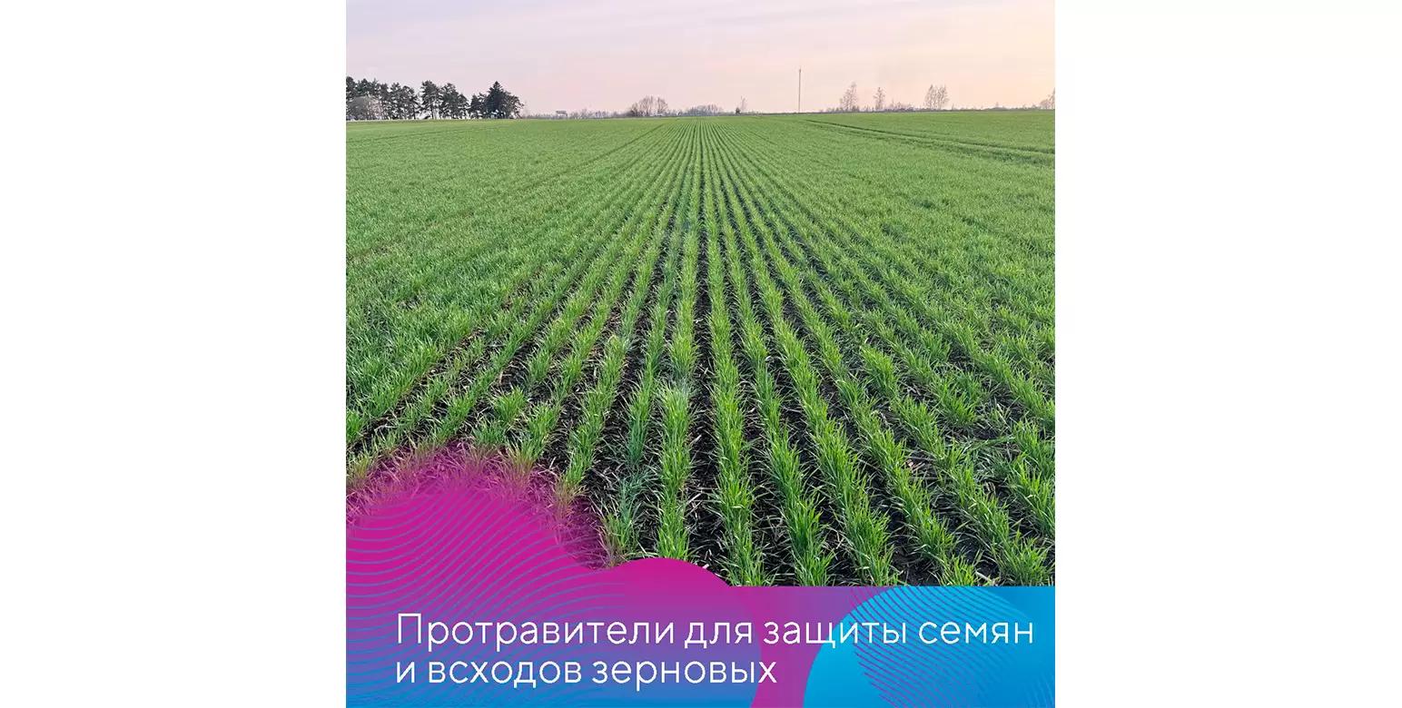 Протравители для зерновых культур для озимого сева