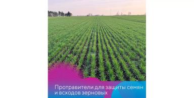 Протравители для зерновых культур для озимого сева