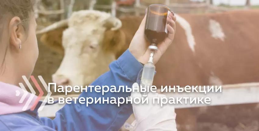 Парентеральные инъекции в ветеринарной практике