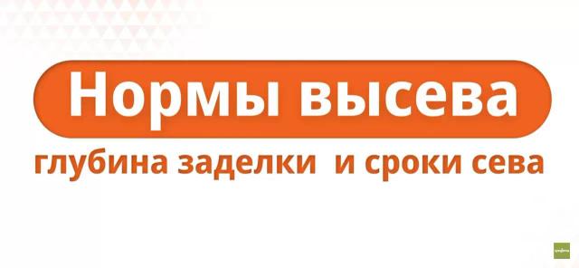 Сроки сева, норма высева и глубина заделки семян