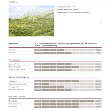 Деспина (DESPINA)