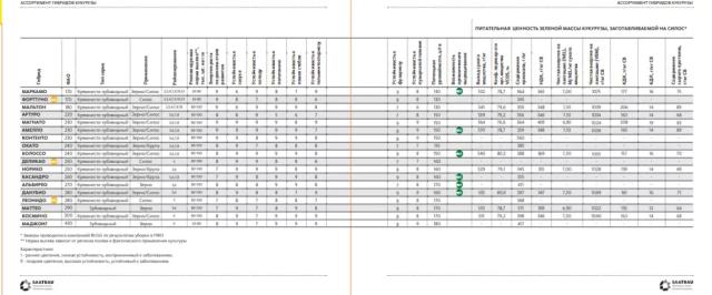 Маркамо - гибрид кукурузы зерновой (Zea mays L.).
