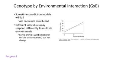 Генотип и окружающая среда: включение факторов среды в племенные оценки животных