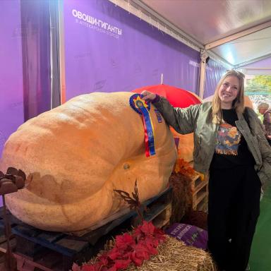 Судьба гигантской тыквы