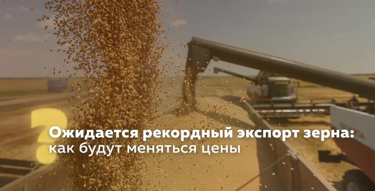 Ожидается рекордный экспорт зерна: как будут меняться цены